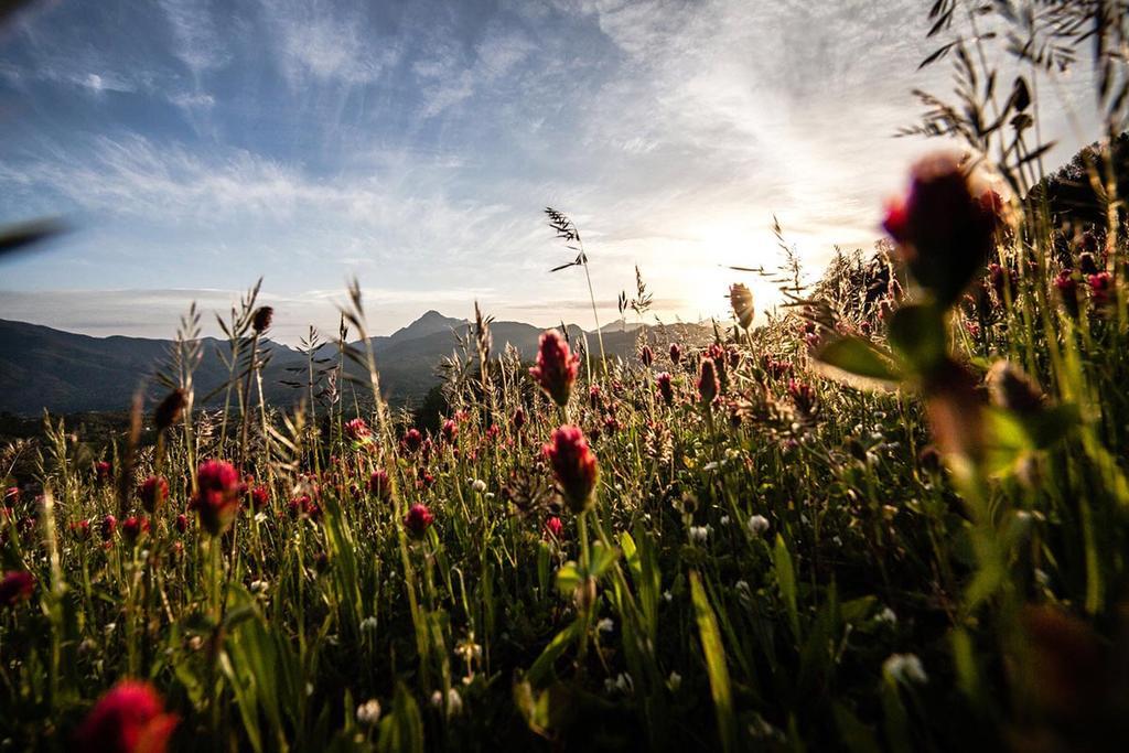 Renaissance Tuscany Il Ciocco Resort & Spa Barga Exterior foto